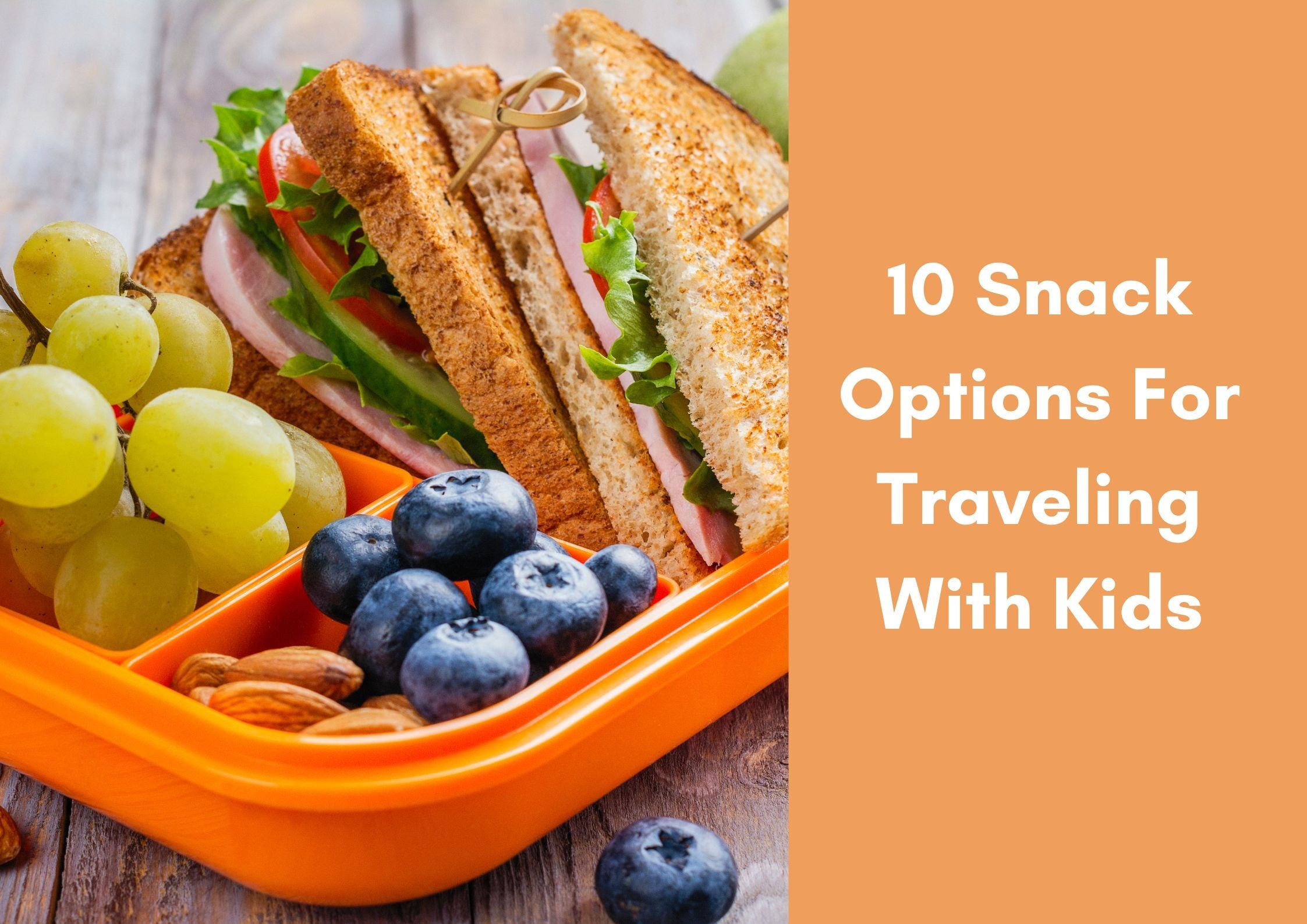 10 Snack Options For Traveling With Kids