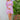 Cheery Blush Floral Maternity & Nursing One-Shoulder Knee Dress momzjoy.com