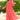 Playful Red Polka Maternity & Nursing Dress MOMZJOY.COM