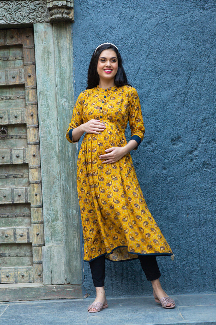 Sunshine Classic Paisley Maternity & Nursing Kurta MOMZJOY.COM