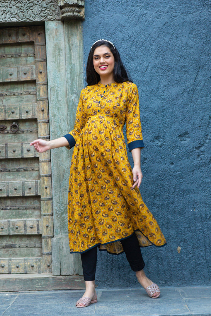 Sunshine Classic Paisley Maternity & Nursing Kurta MOMZJOY.COM