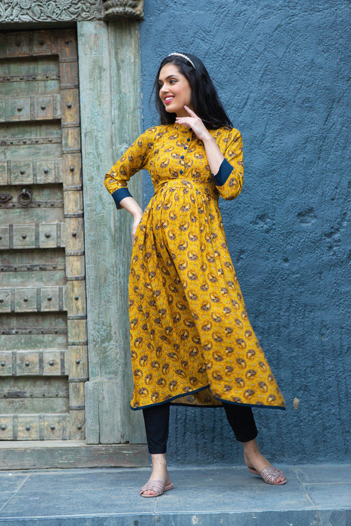 Sunshine Classic Paisley Maternity & Nursing Kurta MOMZJOY.COM