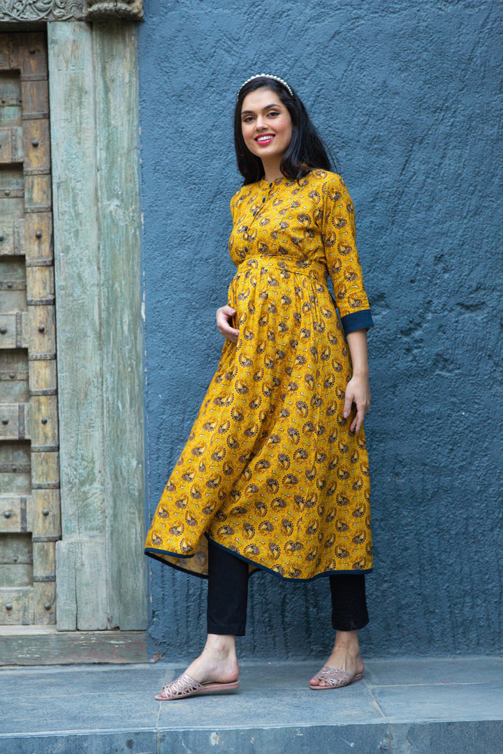 Sunshine Classic Paisley Maternity & Nursing Kurta MOMZJOY.COM