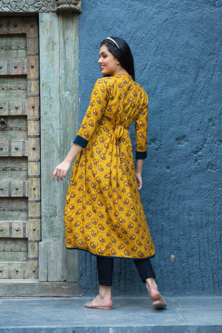 Sunshine Classic Paisley Maternity & Nursing Kurta MOMZJOY.COM