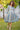 Electric Striped Front Button Maternity & Nursing Dress momzjoy.com