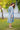 Electric Striped Front Button Maternity & Nursing Dress momzjoy.com
